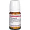 BELLADONNA D 6 tabletten, 80 st