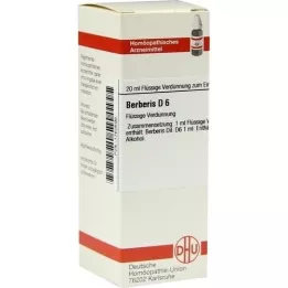 BERBERIS D 6 Verdunning, 20 ml