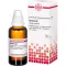 BERBERIS D 6 Verdunning, 50 ml