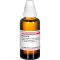 BERBERIS D 6 Verdunning, 50 ml