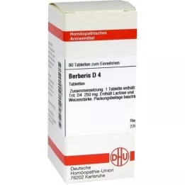 BERBERIS D 4 tabletten, 80 st