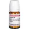BERBERIS D 4 tabletten, 80 st