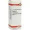 BRYONIA D 4 verdunning, 20 ml