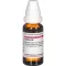 CACTUS D 2 Verdunning, 20 ml