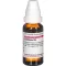 CANTHARIS D 6 Verdunning, 20 ml
