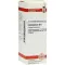 CHELIDONIUM D 6 Verdunning, 20 ml