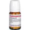 CINNABARIS D 6 tabletten, 80 st