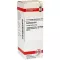 COLCHICUM D 6 Verdunning, 20 ml