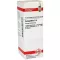 COLOCYNTHIS D 4 verdunning, 20 ml