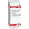 COLOCYNTHIS D 6 bolletjes, 10 g