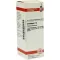 CRATAEGUS D 2 Verdunning, 20 ml