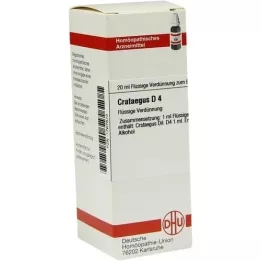 CRATAEGUS D 4 verdunning, 20 ml