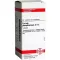 FERRUM PHOSPHORICUM D 12 tabletten, 80 st