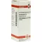 HAMAMELIS D 2 Verdunning, 20 ml