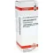 LUFFA OPERCULATA D 6 Verdunning, 20 ml