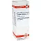 LYCOPUS VIRGINICUS D 6 Verdunning, 20 ml