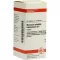 MERCURIUS SOLUBILIS Hahnemanni D 6 tabletten, 80 st