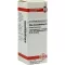 RHUS TOXICODENDRON D 6 Verdunning, 20 ml