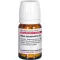 RHUS TOXICODENDRON D 6 tabletten, 80 st