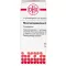 RHUS TOXICODENDRON D 6 bolletjes, 10 g