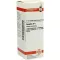 SPIGELIA D 4 verdunning, 20 ml