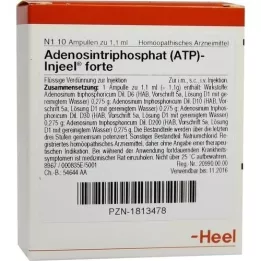 ATP Injeel forte ampullen, 10 stuks