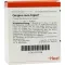 GINGIVA SUIS Injeel-ampullen, 10 stuks
