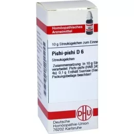 PICHI-pichi D 6 bolletjes, 10 g