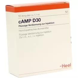 CAMP D 30 ampullen, 10 stuks