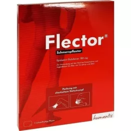 FLECTOR Pijnpleisters + elastische netkousen, 5 st