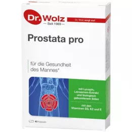 PROSTATA PRO Dr.Wolz-capsules, 2x20 stuks