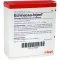 ECHINACEA INJEEL Ampullen, 10 stuks