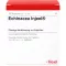 ECHINACEA INJEEL Ampullen, 10 stuks