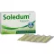SOLEDUM 100 mg maagsapresistente capsules, 50 stuks