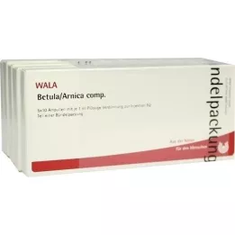 BETULA/ARNICA comp. ampullen, 50X1 ml