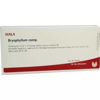 BRYOPHYLLUM COMP.Ampullen, 10X1 ml