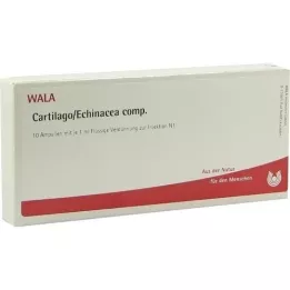 CARTILAGO/Echinacea comp. Ampullen, 10X1 ml