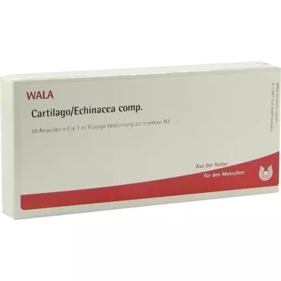 CARTILAGO/Echinacea comp. Ampullen, 10X1 ml CARTILAGO/Echinacea comp. Ampullen, 10X1 ml