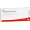 PERIODONTIUM/STANNUM comp. ampullen, 10X1 ml