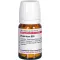HYPERICUM D 30 tabletten, 80 st