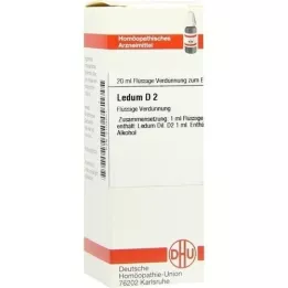 LEDUM D 2 Verdunning, 20 ml