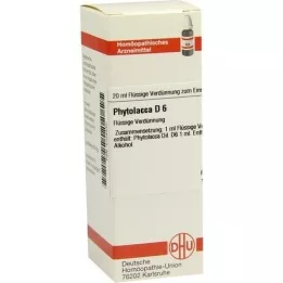 PHYTOLACCA D 6 Verdunning, 20 ml