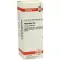 PHYTOLACCA D 6 Verdunning, 20 ml