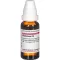 PHYTOLACCA D 6 Verdunning, 20 ml