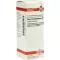 RHUS TOXICODENDRON D 12 Verdunning, 20 ml