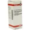ROBINIA PSEUDACACIA D 3-verdunning, 20 ml