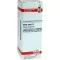 SALIX ALBA D 1 verdunning, 20 ml
