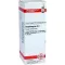 STAPHISAGRIA D 4 verdunning, 20 ml