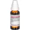 SYZYGIUM JAMBOLANUM D 2 Verdunning, 20 ml