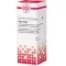 THUJA EXTERN Tinctuur, 20 ml